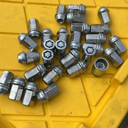 Wheel Nuts 