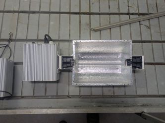Overhead Grow lights