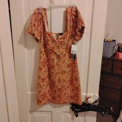 Dress Brand New With Tags