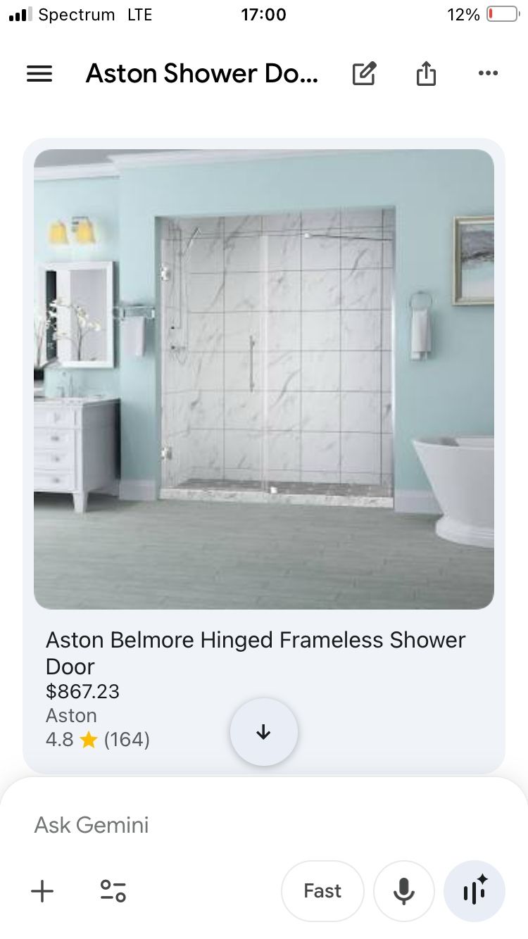 Shower Door / Remodel