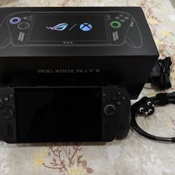 Xbox Ally X