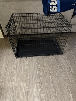 Dog Gate