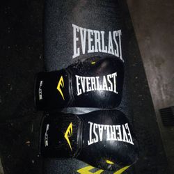 Excellent 100 Pound Everlast Punching Bag With Gloves Can Deliver 