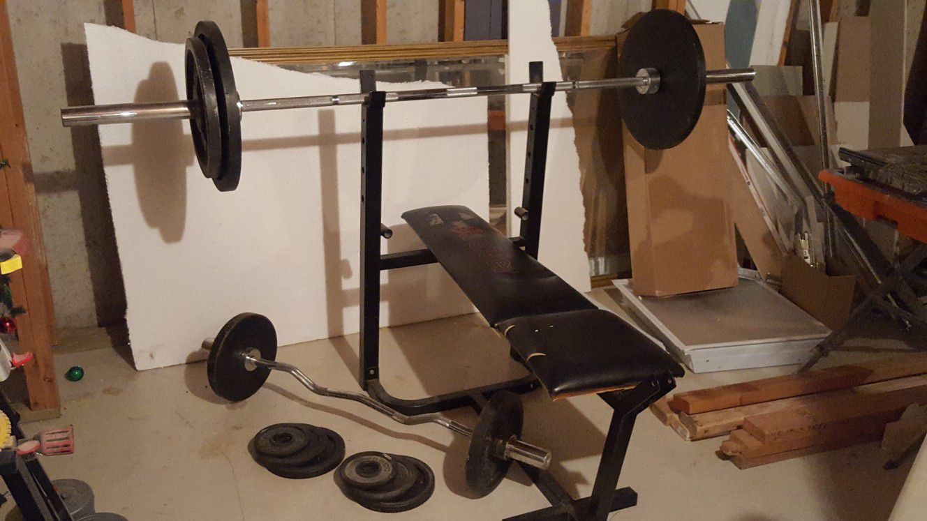 Olympic size bar, curl bar, weights and bench
