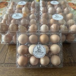 Farm Fresh Chicken Eggs 