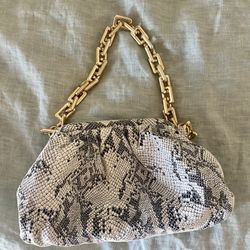 Snakeskin Purse 
