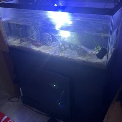 30 Gallon Fish Tank With Stand