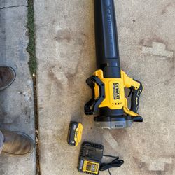 Blower Battery And Charger Includes 