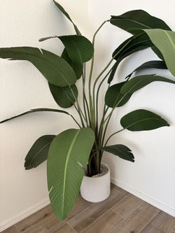 Fake Plant