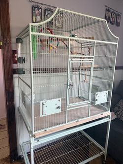 Bird cage with food and accessories