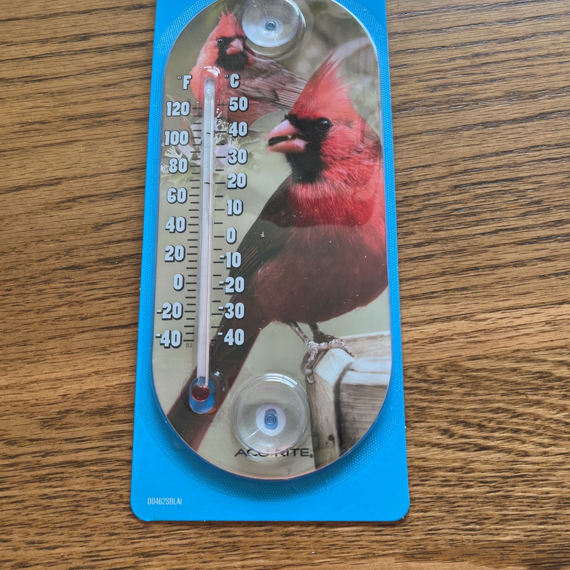 Decorative Thermometers