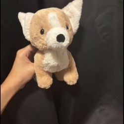 Chihuahua Jellycat