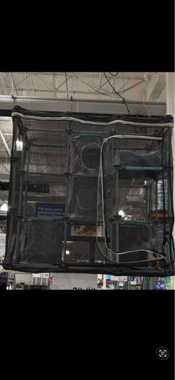 Cat catio
