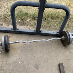 Home Workout Curl Bar  With Weights