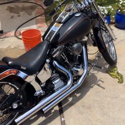 1993 Softail Harley Davidson