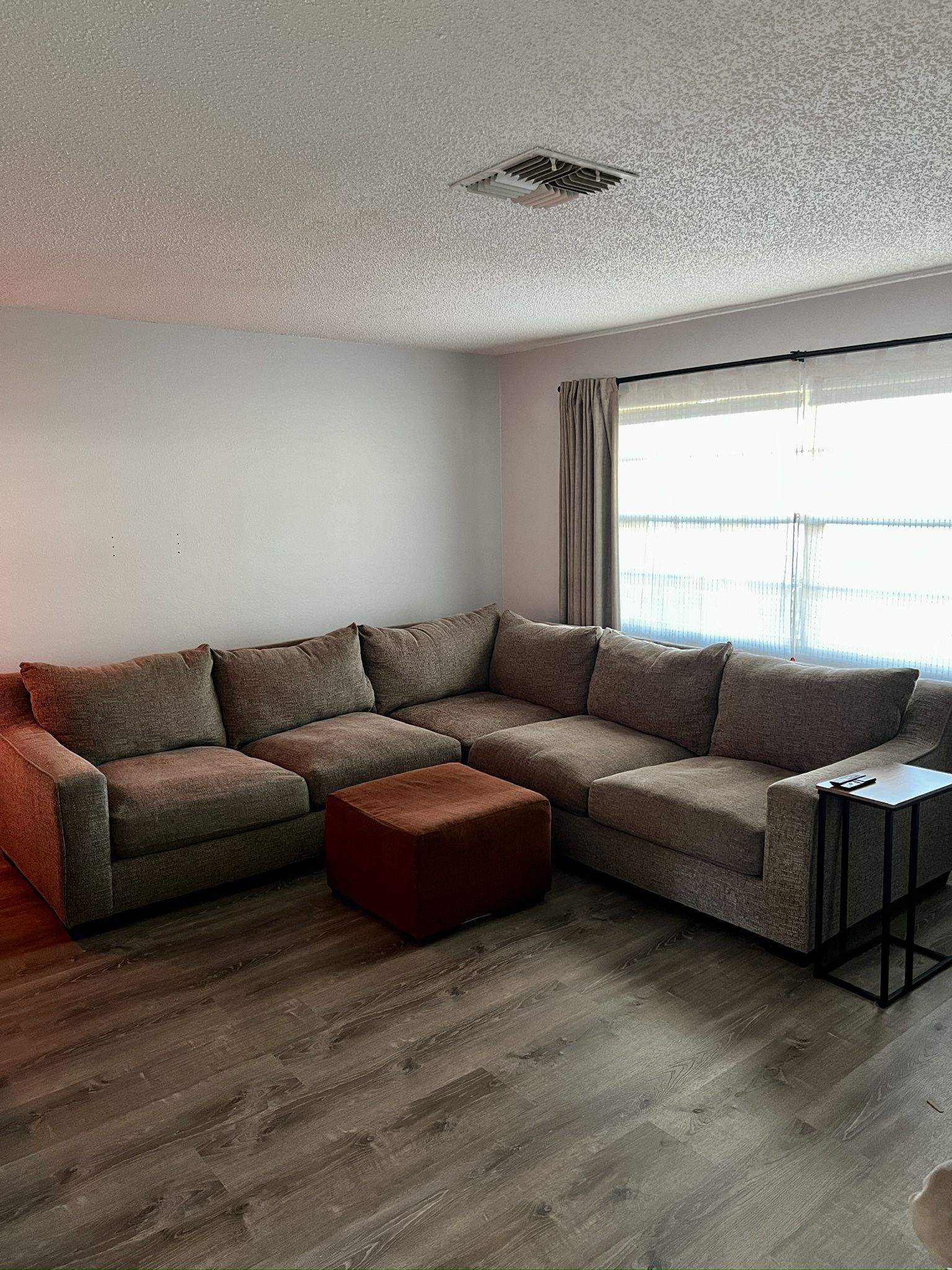 Sectional & IKEA Sleeper Sofa