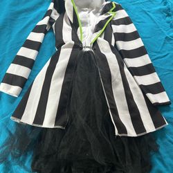 Kids’s Beetle Juice Dress Halloween Costume 