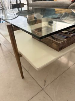 West Elm Mid Century Art Display Coffee Table