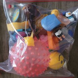 Bag of Toys!