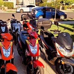 M1 License/ DMV M1 Test 