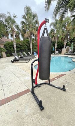 Everlast punching bag and Stand