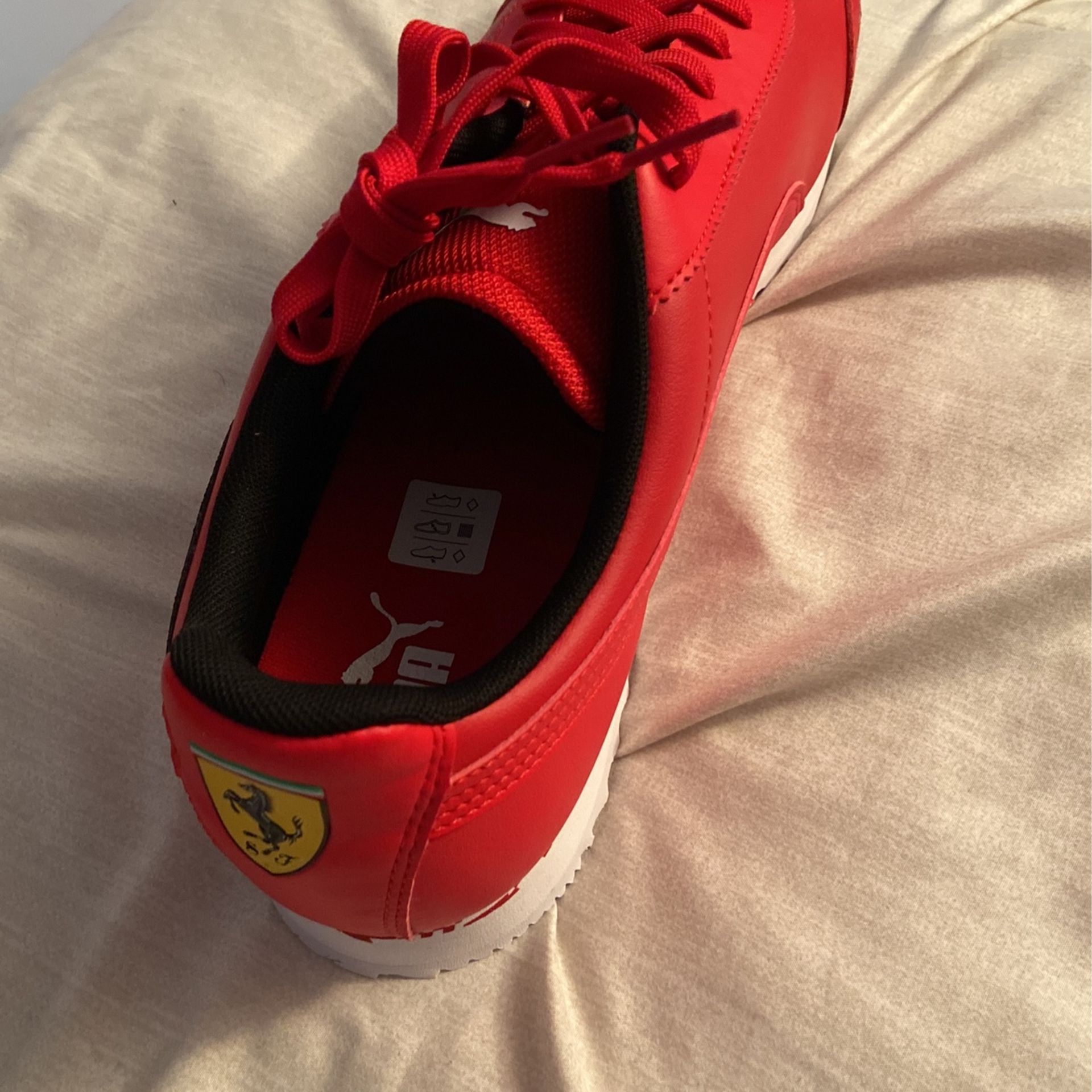 Puma And Ferrari