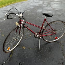 fuji bike