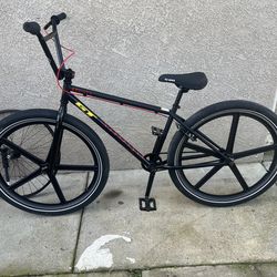 GT PERFORMER BMX 29 inch custom 29er