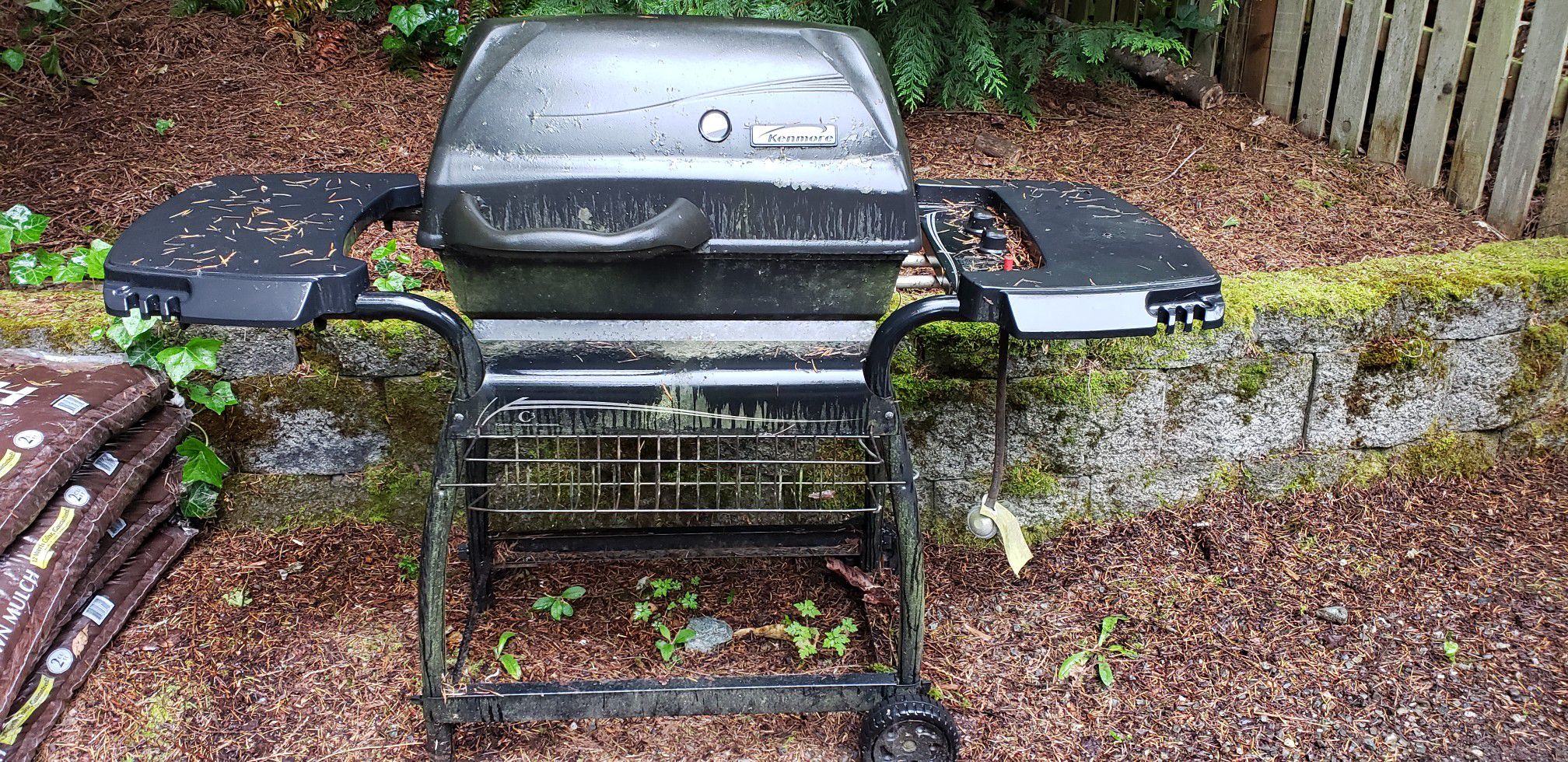 Functioning BBQ grill