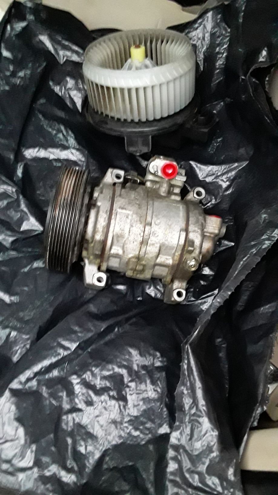 Air compressor and blow motor