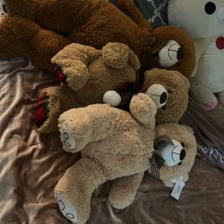 Stuffed Bears 