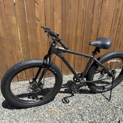 Northrock XC00 Fat Tire Bike