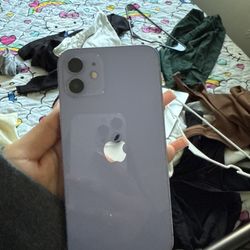 iPhone 12 