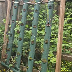 Hydro Ponic Or Plant Growing 