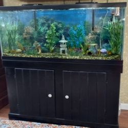 50 Gallon Aquarium with Base
