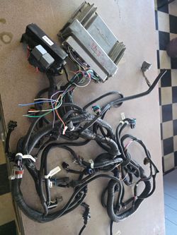 Stand alone harness and ecm
