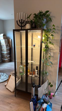Bar or Terrarium complete with grow lights
