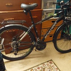 2025 Schwinn Central