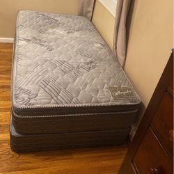 Twin Mattress And Box Spring 