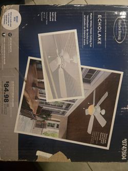 Ceiling fan