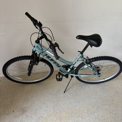  Brand New Bike 