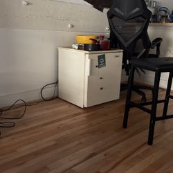 Mini Fridge 