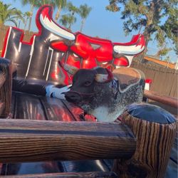 Toro