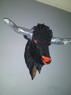 Toro