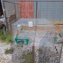 Rabbit Cage 