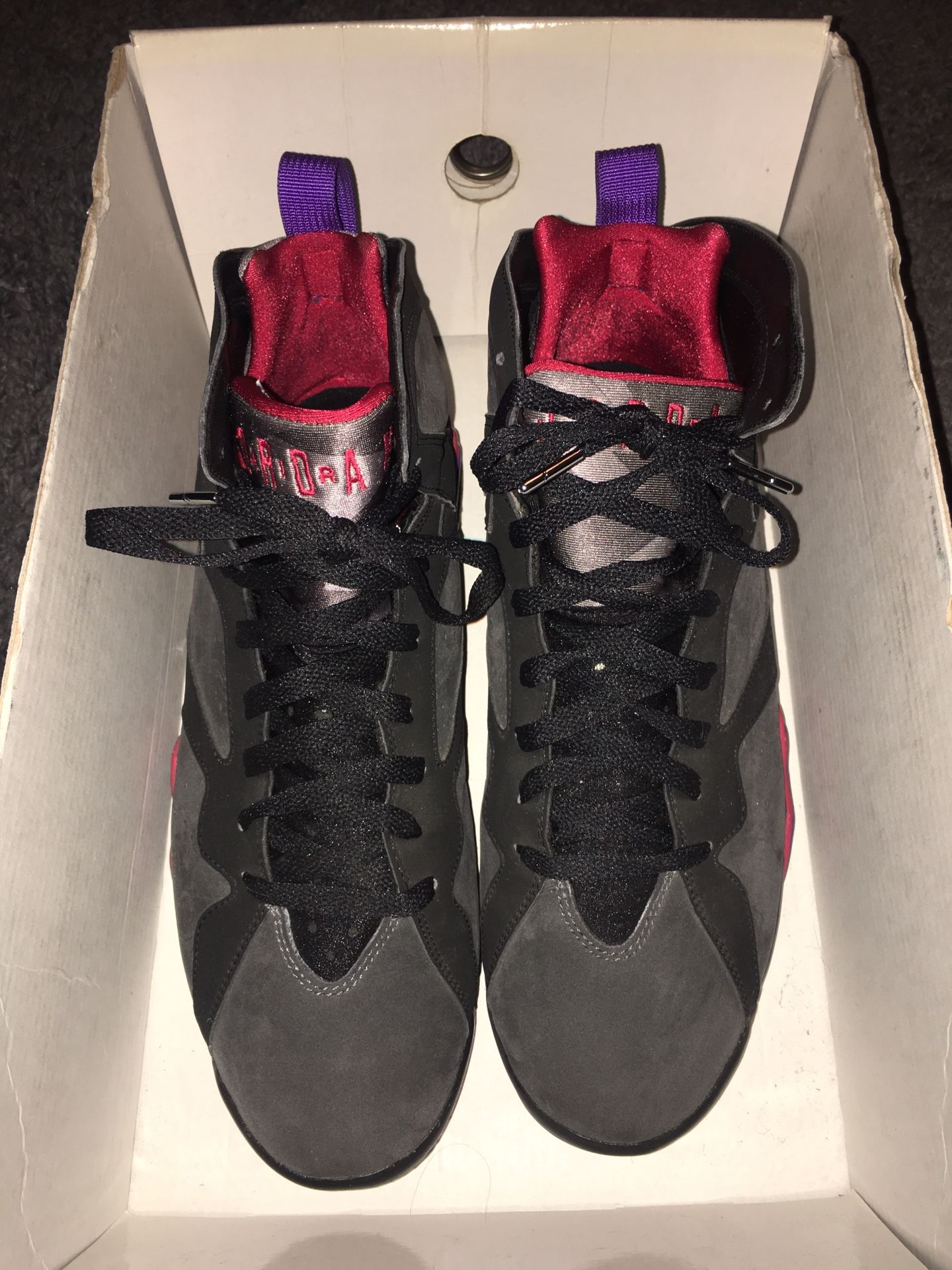 Jordan Raptors DMP