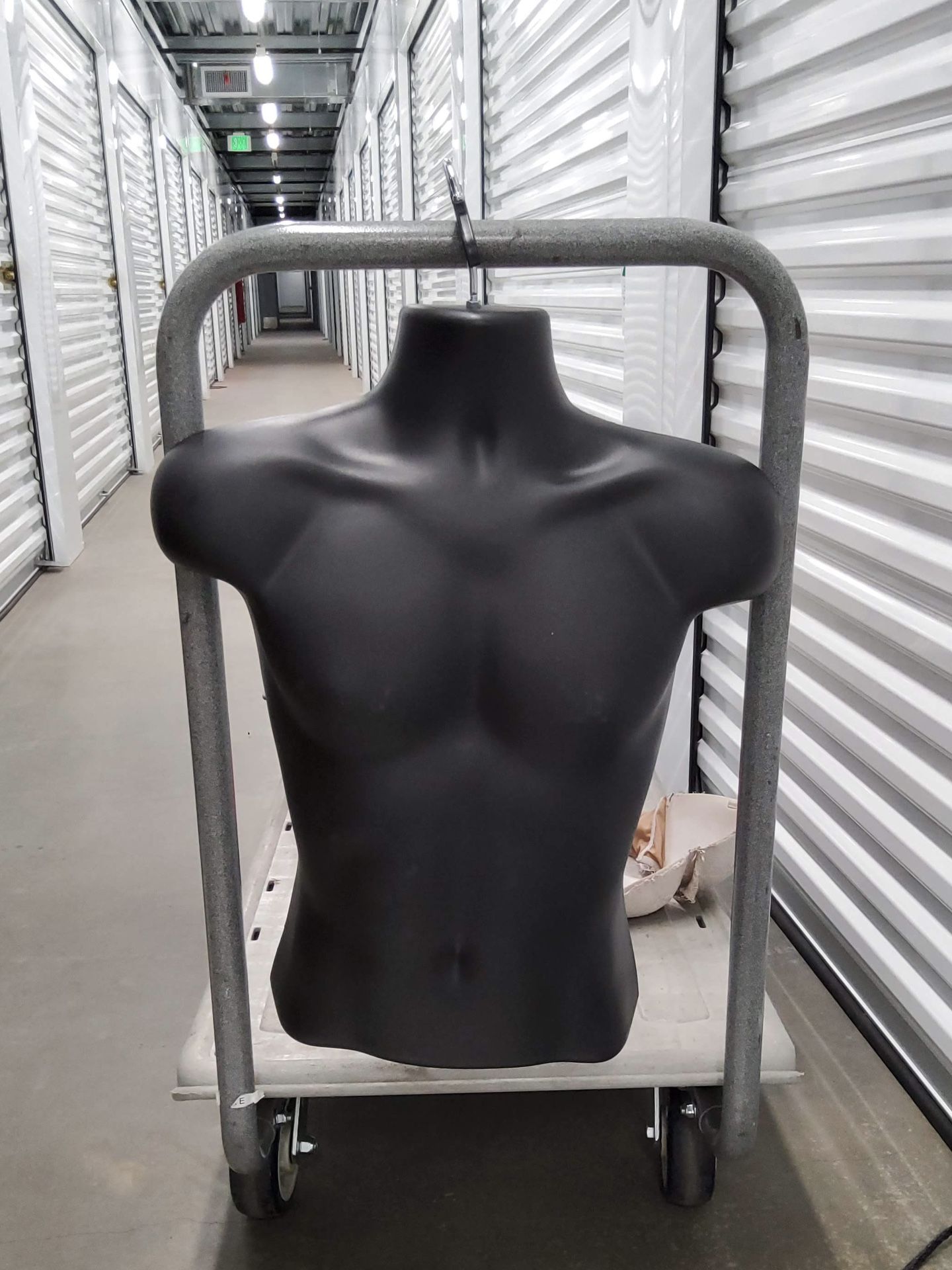 Hallow Half Body Male Mannequin
