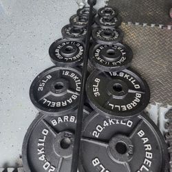 Olympic Size Weight Plates Weightlift Excercise Workout Bench Press Curl 2inch Hole Cap Weight Plates Bar