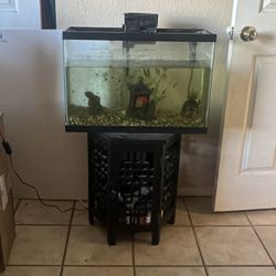 20 Gallon Fish Tank 