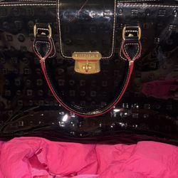 Arcadia Purse 